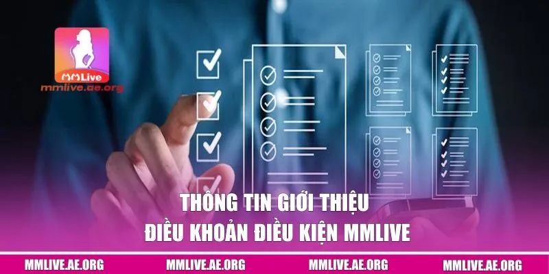 Thông tin giới thiệu điều khoản điều kiện MMLive